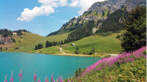 Bilan « été 2020 » de la FNAIM Savoie Mont Blanc 