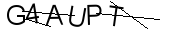 captcha anti-spam