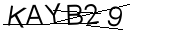 captcha anti-spam