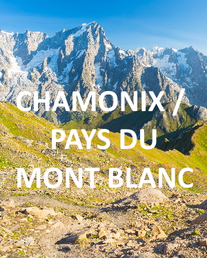 Chamonix et pays du mont blanc immo