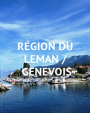 Immobilier Thonon les bains, Evian, St Julien en Genevois