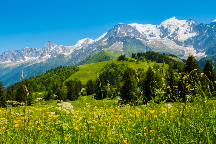 Le marché résiste, porté par la Montagne